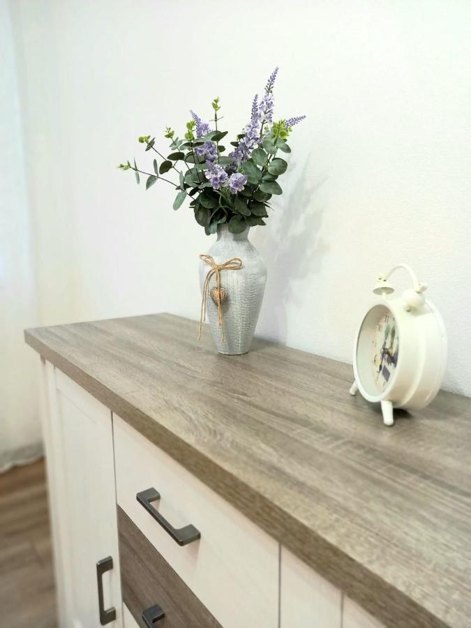 Apartman Pod Sivym Vrchom 斯祖贝莱克 外观 照片